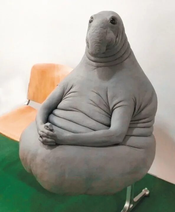 Н чего ждать