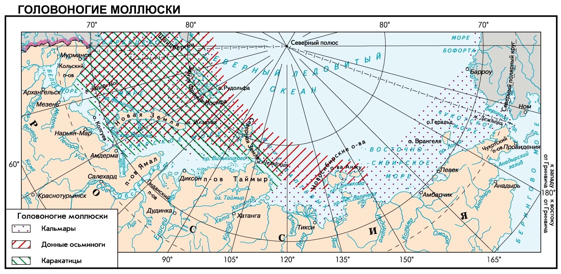 По территории моря россия граничит с. Границы Российской Арктики морские. Российская Арктика карта. Карта российскойаркики. Арктика на карте России.