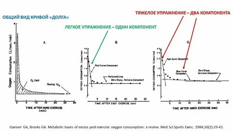 Величина кислородного долга