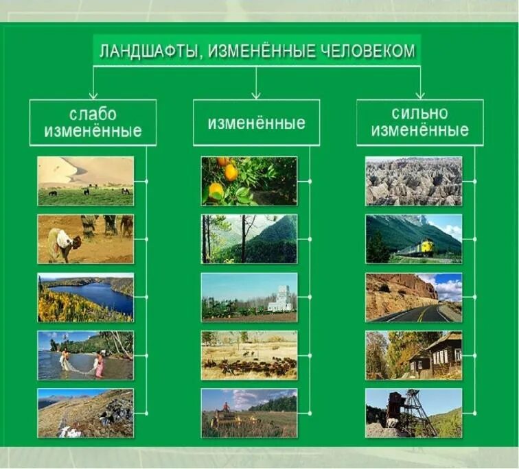 Какие бывают территориальные комплексы география 8 класс. Антропогенные природные комплексы. Природно-антропогенные ландшафты. Природные и природно-антропогенные ландшафты. Виды антропогенных ландшафтов.