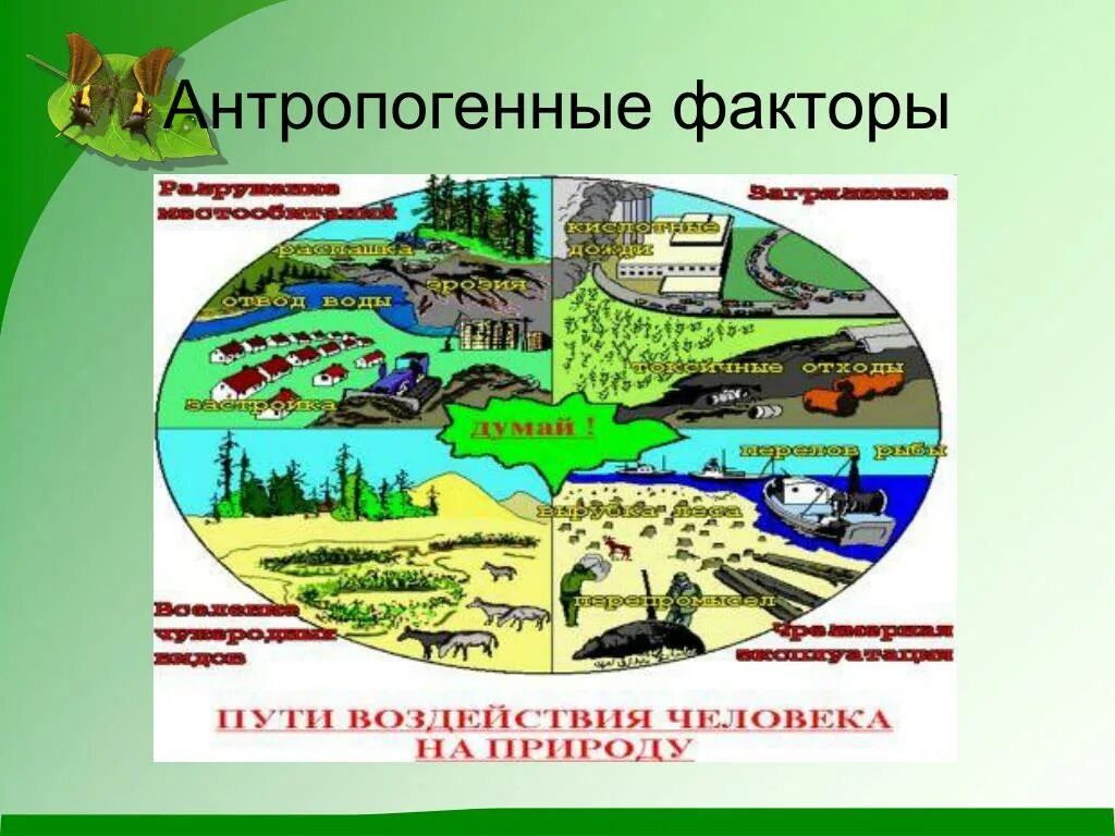 Примеры антропогенного фактора в природе. Антропогенные факторы. Антропогенные экологические факторы. Антропогенное воздействие. Антропогенные факторы это в биологии.