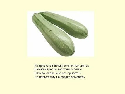 Какие овощи срезают с грядки
