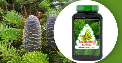 Пихтово кедровый экстракт