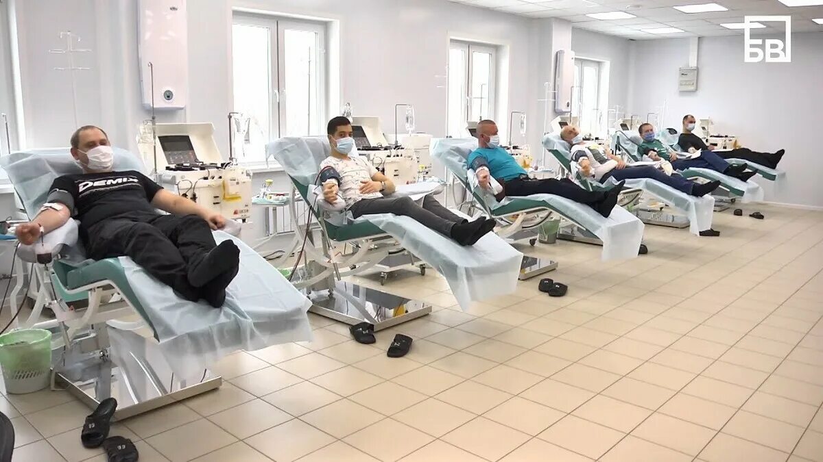 Алмазов донорство. Иосд. Донор онф. Алмазов донорство. Добровольцы альтруисты донорство.