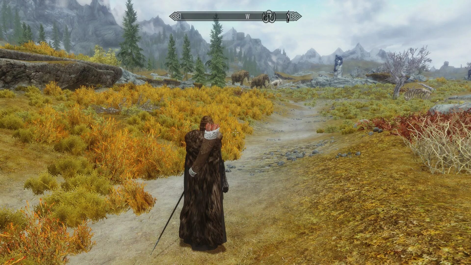Алхимик рифтен скайрим. Пилигрим скайрим. Скайрим рюкзак мага. Skyrim плащ пилигрима. Скайрим броня назгула.