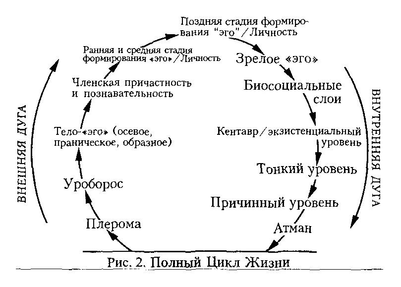 Проект Атман Кен Уилбер. Стадии развития эго. Схема Плеромы. Цикл жизни.