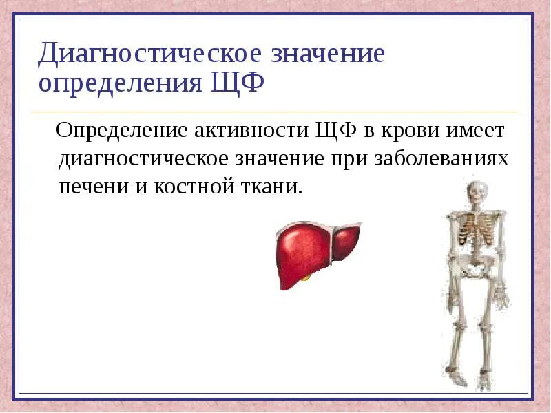 Рост транзиторной микрофлоры не имеющей диагностического значения