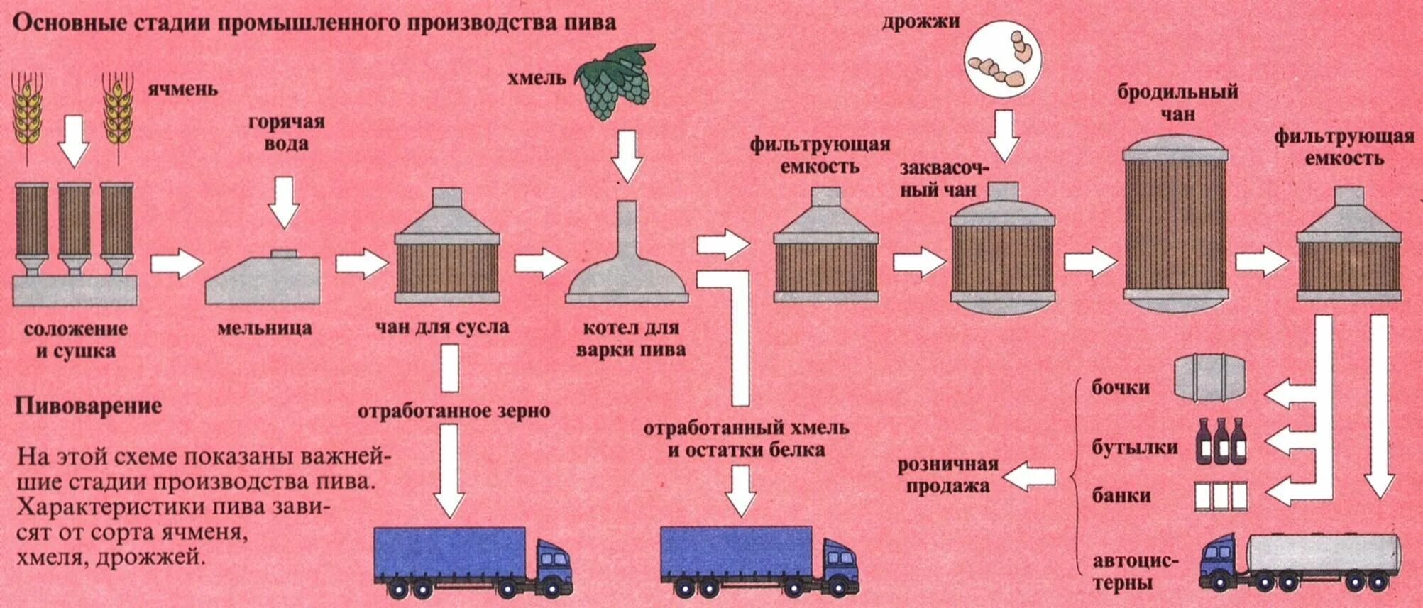 Схема производства ирландского виски. Производство красного вина