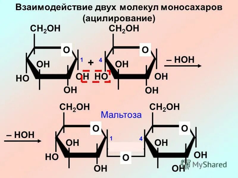 Соединение 2 моносахаридов