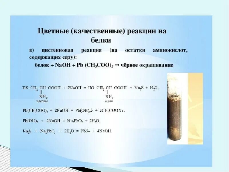 Аминокислоты содержащие серу. Качественныереакцит на белки. цистеиновая реакция. реакция с ацетатом свинца. реакция белка на серу.