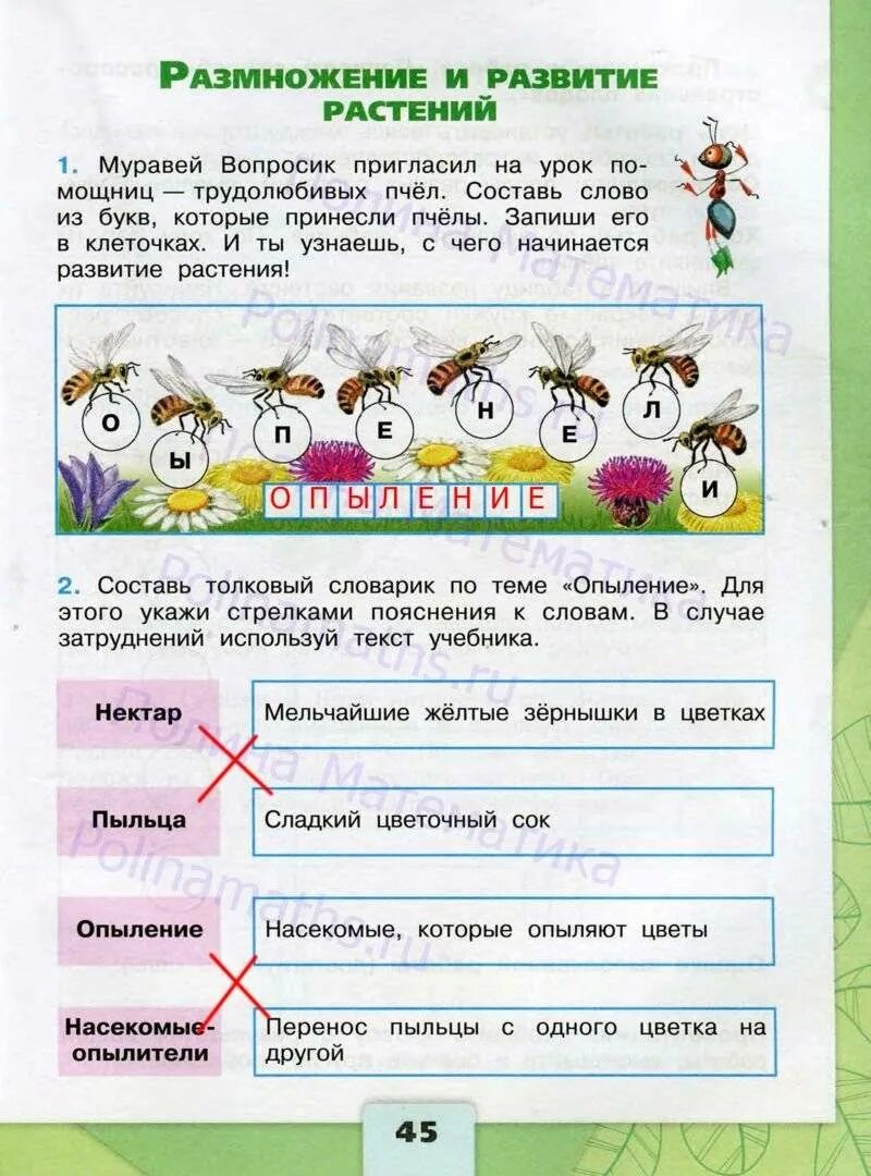 Гдз по окружающему миру 3 класс рабочая тетрадь 1 часть Плешаков стр 45. Окружающий мир 3 класс рабочая тетрадь Плешаков 1 часть и 3 часть. Окружающий мир 3 класс рабочая тетрадь 1 часть Плешаков. Гдз по окружающему миру 3 класс рабочая тетрадь 1 часть Плешакова.