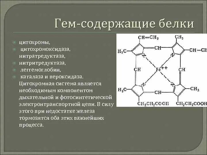 Структура гема биохимия. Гем. Железо гема. Гем строение биохимия.