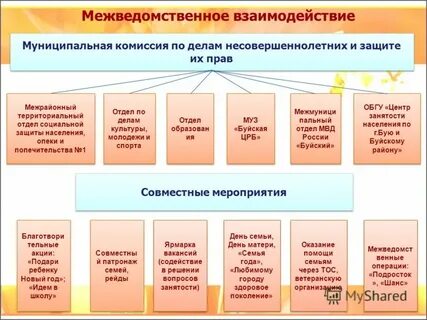 Территориальный отдел опеки и попечительства 1