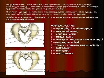 Дашада бітірді