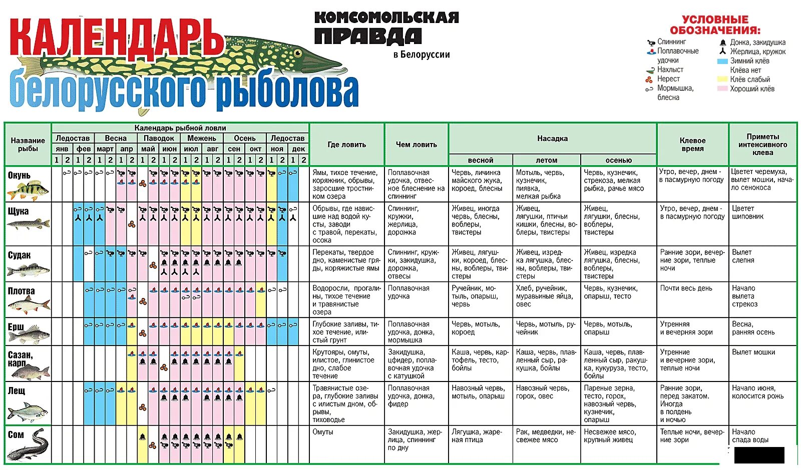 Давление для рыбы таблица. Таблица атмосферного давления для ловли рыбы. Давление для ловли рыбы. Давление для рыбалки на щуку. Клева имя