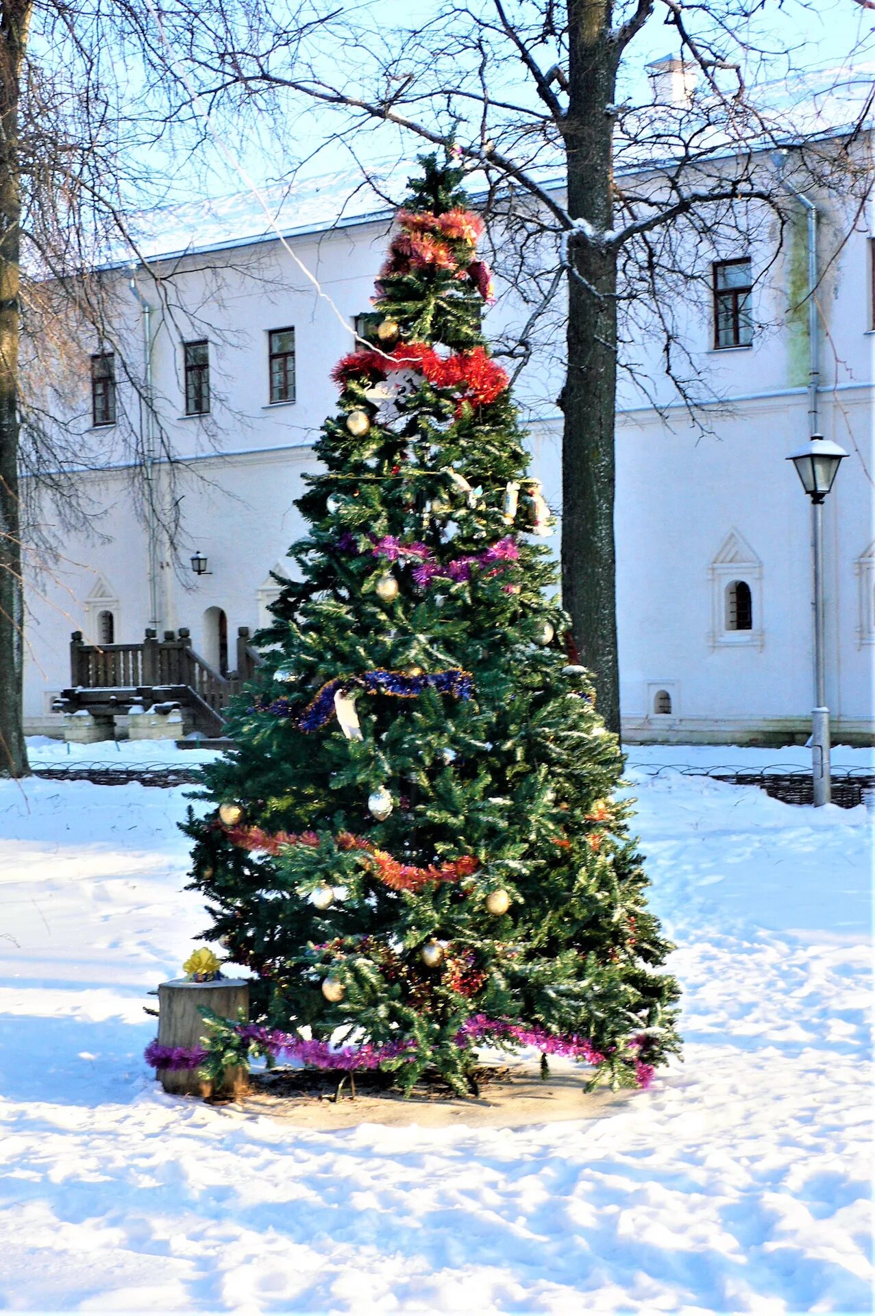 Закрепить елку на улице. Новогодняя елка во дворе. Елка во дворе. Рождественская елка на улице. Красивая новогодняя елка во дворе у дома.