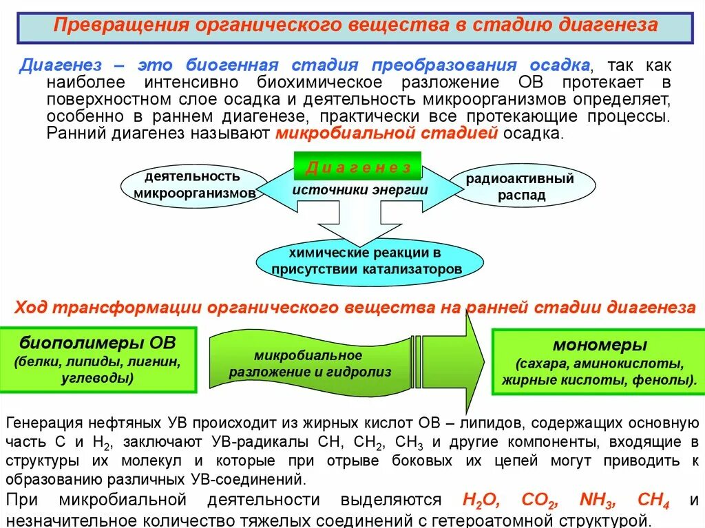 Воображение общий вывод. Органический процесс это. Органический процесс это. Процесс разложения органических веществ. Биохимические процессы в почвах.
