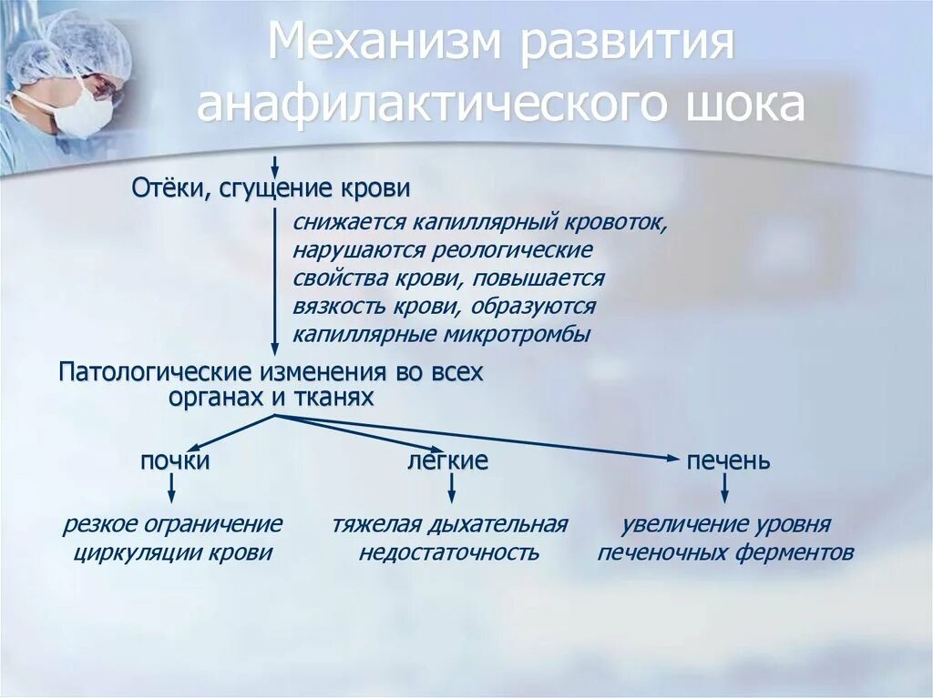 Механизм возникновения анафилактического шока. Механизм развития анафилаксии. Механизм развития шока. Анафилактический ШОК этиология патогенез. Анафилактический шок патогенез