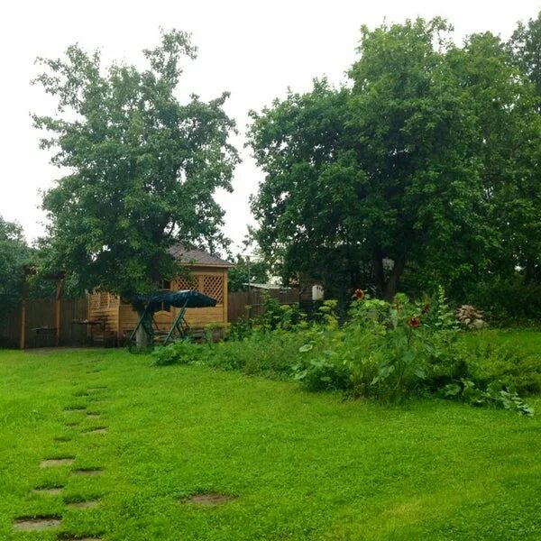 Green house дубечино. Д дубечино перспективная 2д. Грин клаб фэмили дубечино. Сосновая, уч. Д дубечино перспективная 2д.