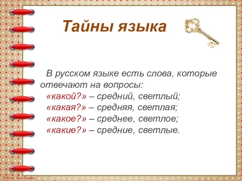 Какой вопрос 10. Слова отвечающие на вопросы какой какая какое какие. Какие слова отвечают на вопрос что. Слова отвечающие на вопрос какое. Слова которые отвечают на вопрос какой.