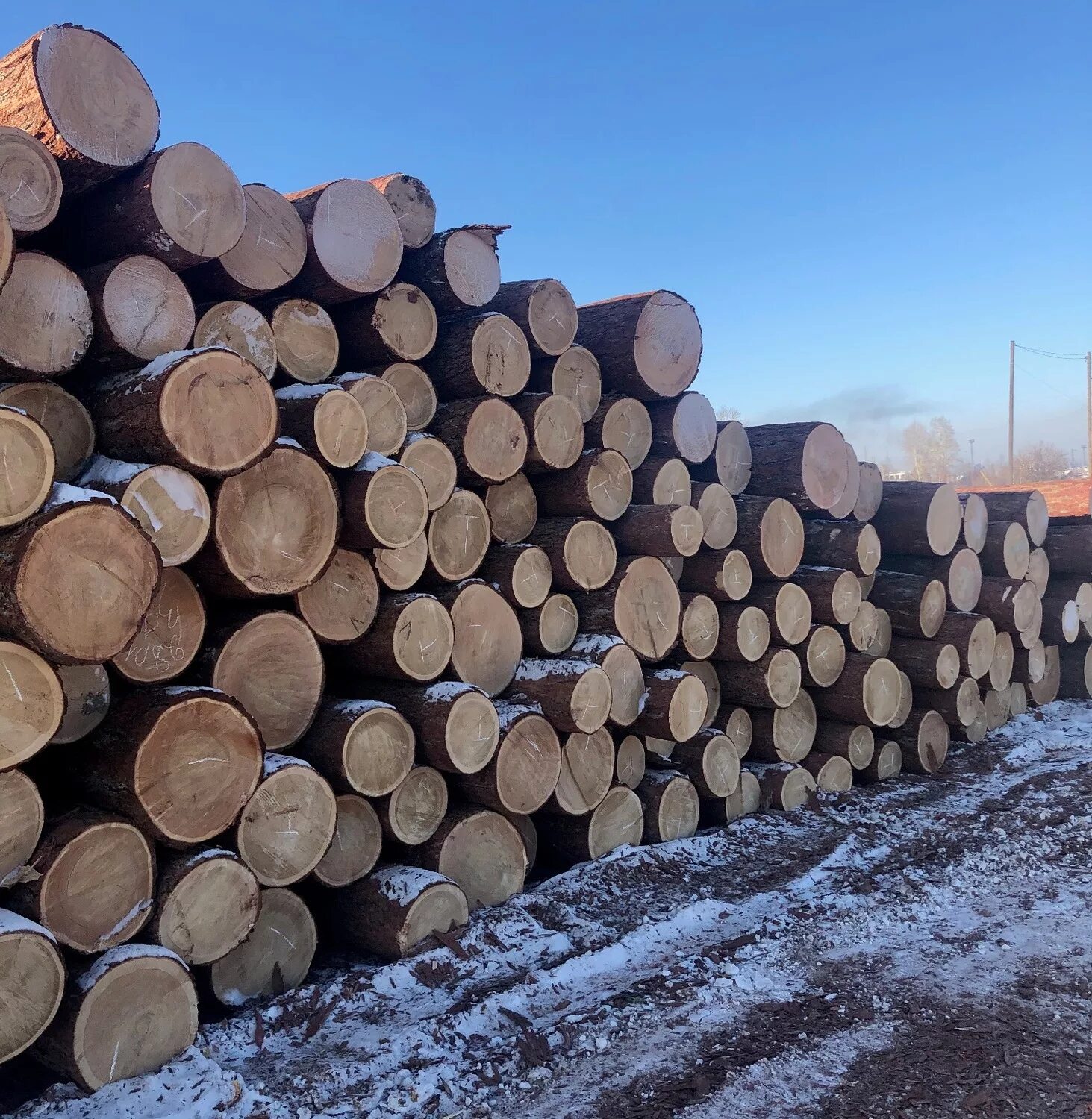 Круглые пластиковые окна. Ангарская лиственница кругляк. Продам круглые. Круг 10 l2000м. Юла круглый стол.