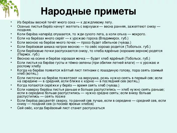 Сроки приметы. Приметы о Березе. Народные приметы если. Народные приметы связанные с березой. Народные приметы связанные с растениями.