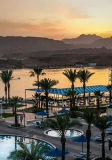 Pick albatros sharm