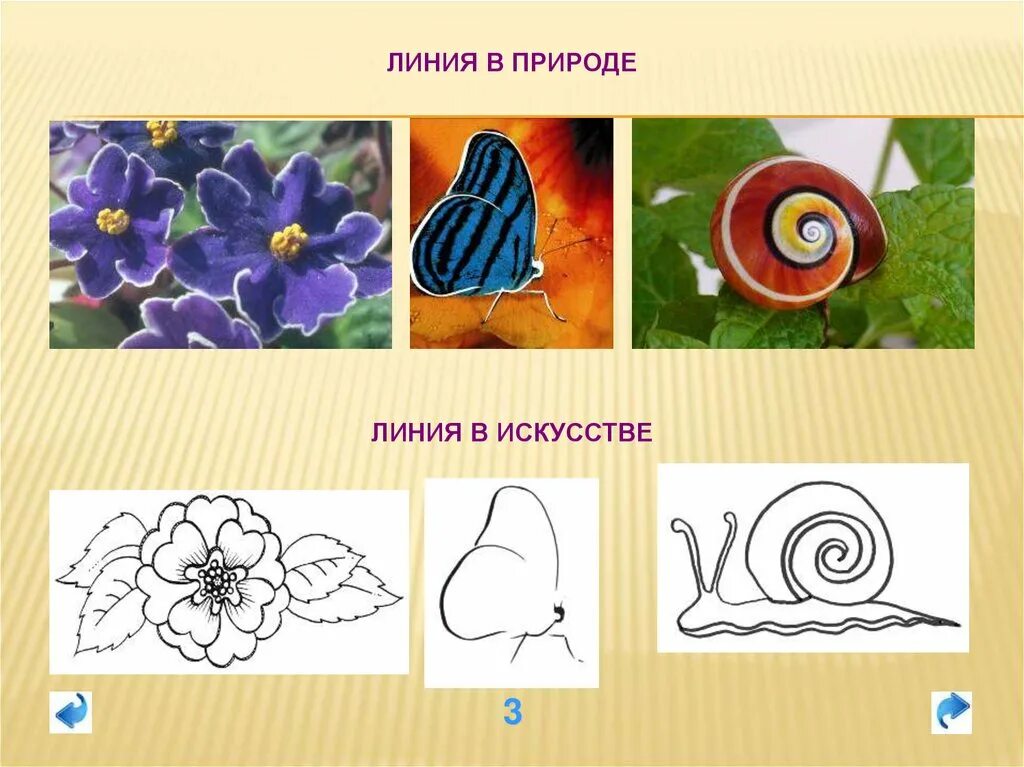 Изо 2 класс. Линия в изобразительном искусстве. Линия в природе и искусстве. Многообразие линий в природе. Изо 1 класс форма презентация