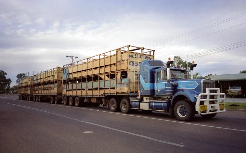 Автопоезд на крышу. Автопоезд 1500 МВ Австралии. Mack Trucks Австралия. Mack Magnum Australian Road Train. Китайские автопоезда.