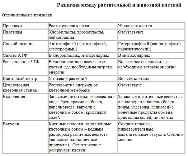 Сравнительная таблица растительной клетки и животной клетки. Сравнительная таблица растительной и животной клетки. Сравнительная характеристика растительной и животной клетки таблица. Сравнение растительной и животной клетки таблица.