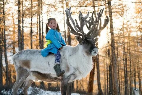 Оленик