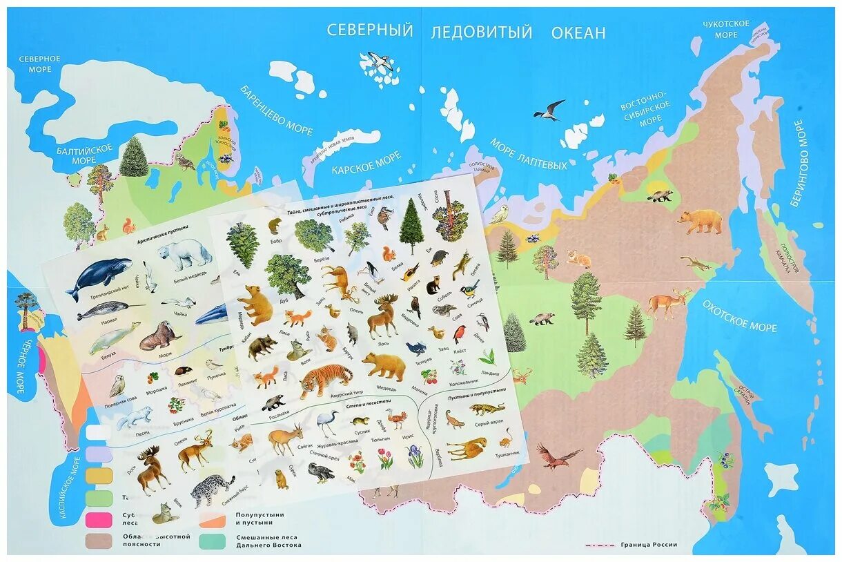 Игры природные зоны россии. Карта России с животными. Животные природных зон России. Природные зоны с животными.