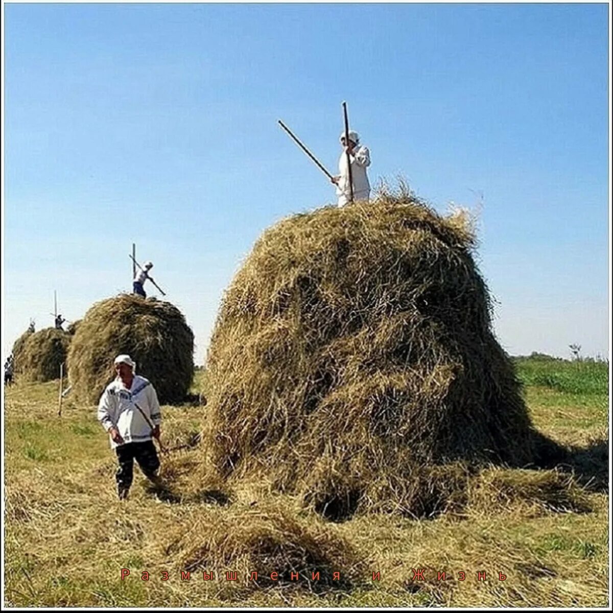 Сенокос стога. Лето в деревне сенокос. Деревня поле сенокос. Деревня сено. Заготовка сена в деревне.