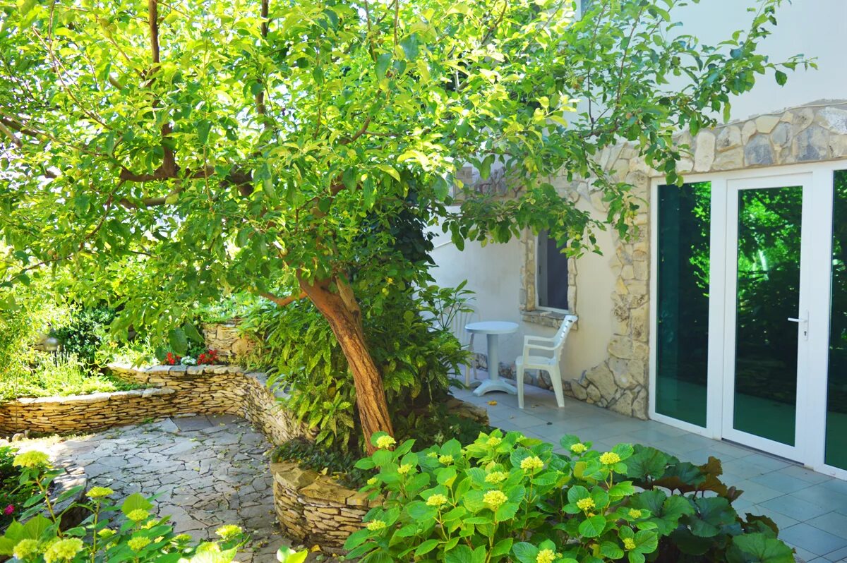 дачи коктебель. дачи коктебель. дачи коктебель. коктебель переулок серова 2б. коктебель экохаус.