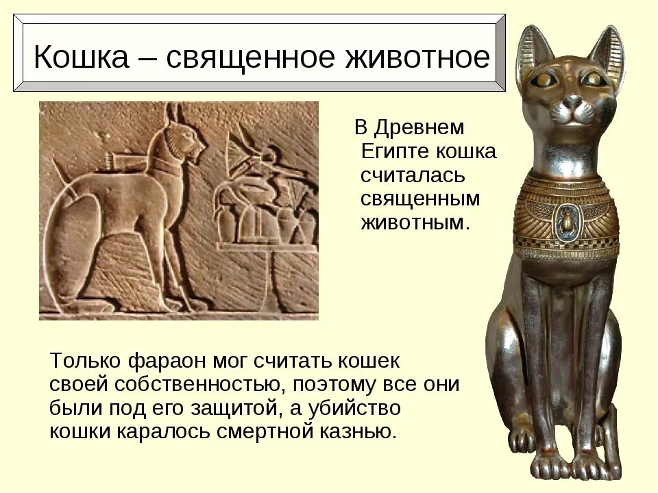 Священные животные древнего Египта. Богиня Бастет в древнем Египте. Священное животное Египта кошка Бастет. Священная Египетская кошка Бастет. Звуки египта для кошек слушать