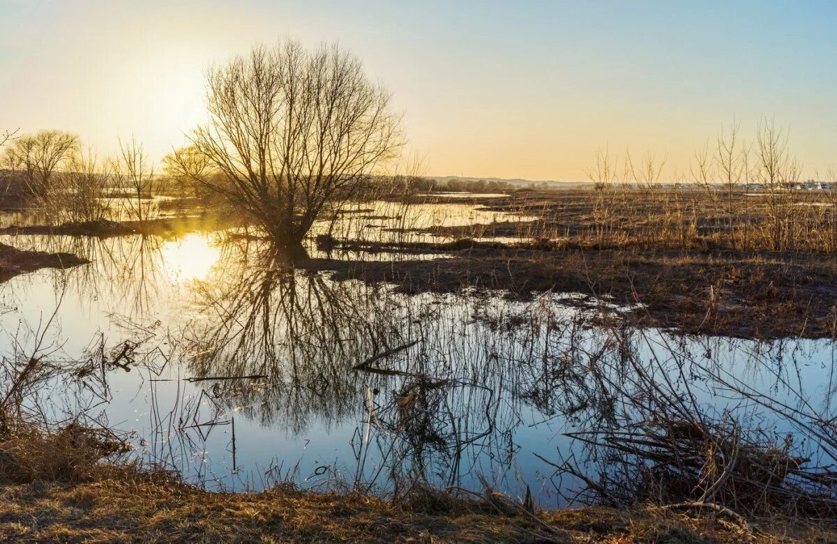Разлив реки дон. Донская весна. Река луга половодье. Дон весной разливается. Дон весной разливается.