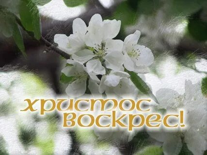 Христос воскрес поет душа моя