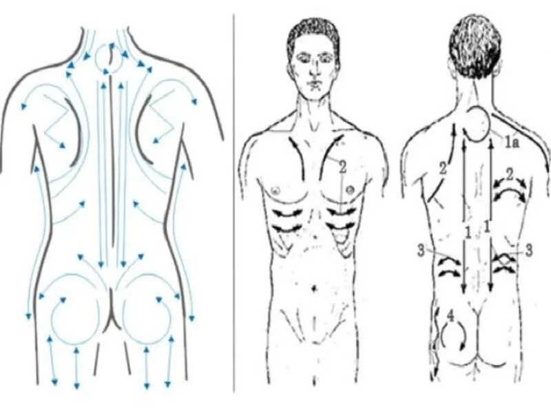 Массажные линии тела для вакуумного массажа. Баночный массаж живота схема. Схема вакуумного массажа. Схема баночного массажа.