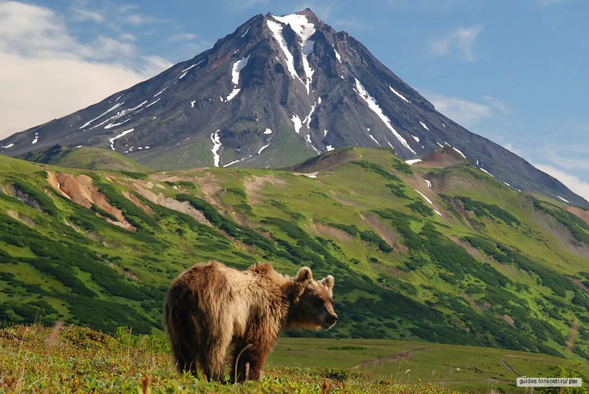 Камчатка сколько стоит. Камчатка Турцентр. Камчатка фото. Траверс тур Камчатка. Три горы Камчатка.