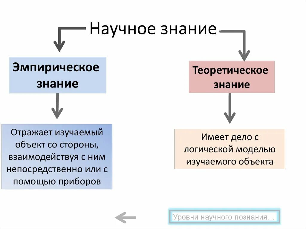 На чем основано научное знание