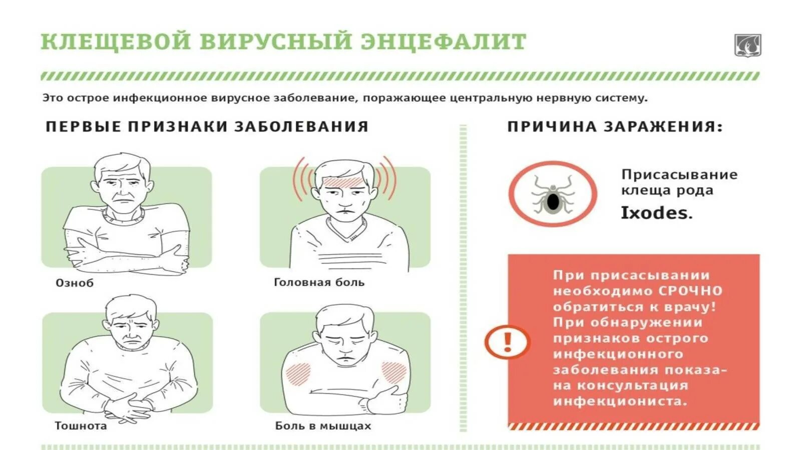 Грипп энцефалит. Клещевой вирусный энцефалит клиника. Энцефалит симптомы неврология. Клиника при клещевом энцефалите. Клиника клещевого энцефалита у детей.