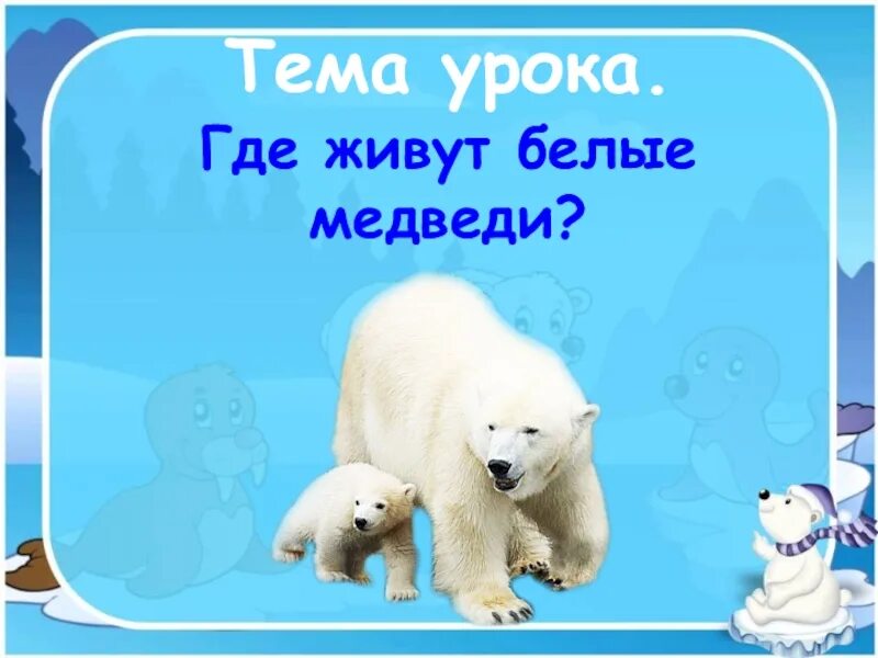 Где живут белые медведи 1 класс. Тема: где живут белые медведи. Урок где живут белые медведи. Окружающий мир где живут белые медведи.