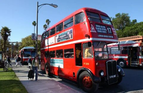 There are buses