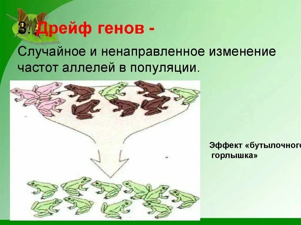 Примером дрейфа генов является эффект основателя. Дрейф генов бутылочное горлышко. иллюстрация последствий дрейфа генов:. дрейф генов фактор эволюции. дрейф генов примеры.