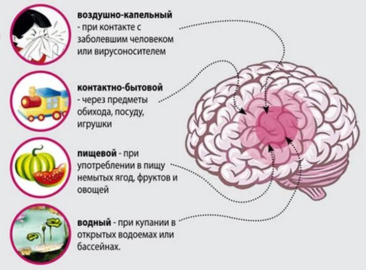 Минингитовая симптомы у взрослых