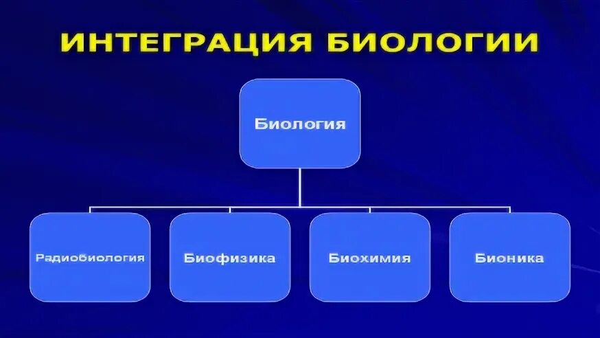 Примером интеграции естественных наук является. Интеграция это в биологии. интеграция наук это в биологии. интеграция в биологии примеры. интегрированность это в биологии.