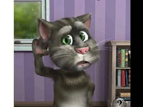 Tom cat 2 3. Talking Tom 2010. Talking Tom Cat 2. Игра talking Tom Cat ( 3. Talking Tom Cat 2010.