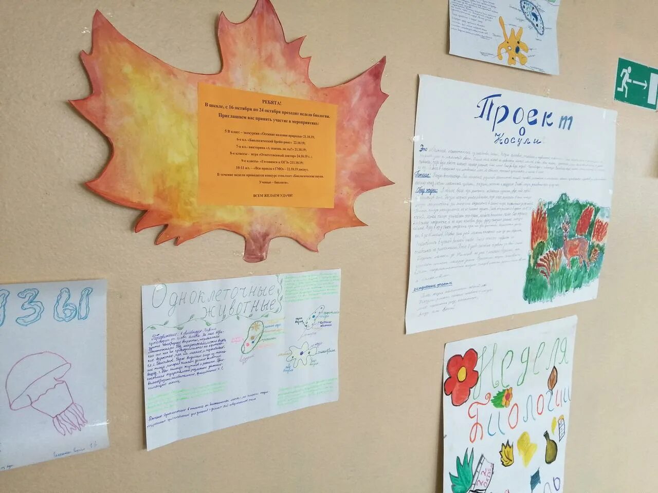 предметная неделя по биологии. пестяковская средняя школа неделя биологии. неделя биологии 8 вид. неделя биологии 8 вид. неделя биологии.