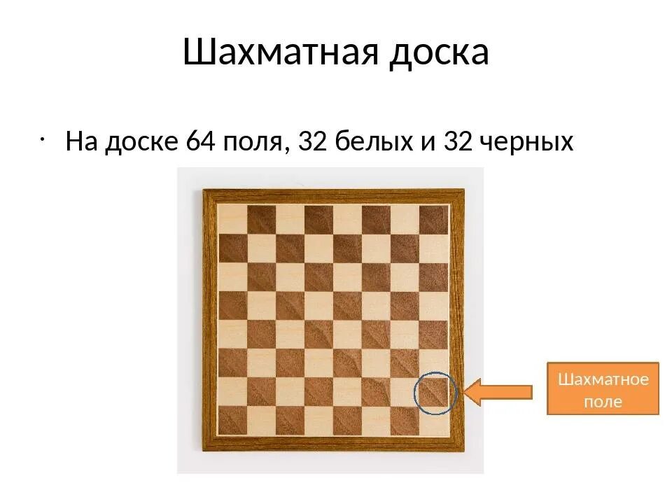 Сколько белых диагоналей на доске. Горизонталь Вертикаль диагональ в шахматах. Диагональ горизонталь Вертикаль на шахматной доске. Поле шахматной доски. Диагонали на шахматной доске.