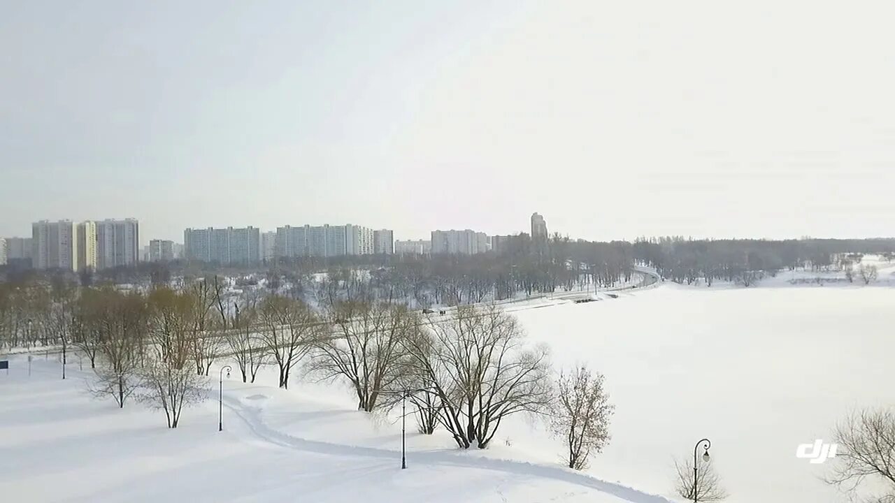 Погода район царицыно. Парк Борисовские пруды зимой. Москва Царицыно пруды зима. Царицыно зимой пруд. Горка на Борисовских прудах.
